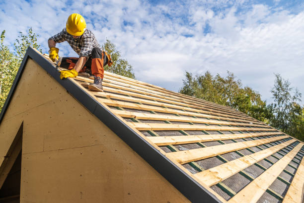 Best Metal Roofing Contractor  in Ithaca, MI