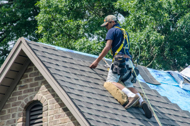 Best Roof Waterproofing Services  in Ithaca, MI